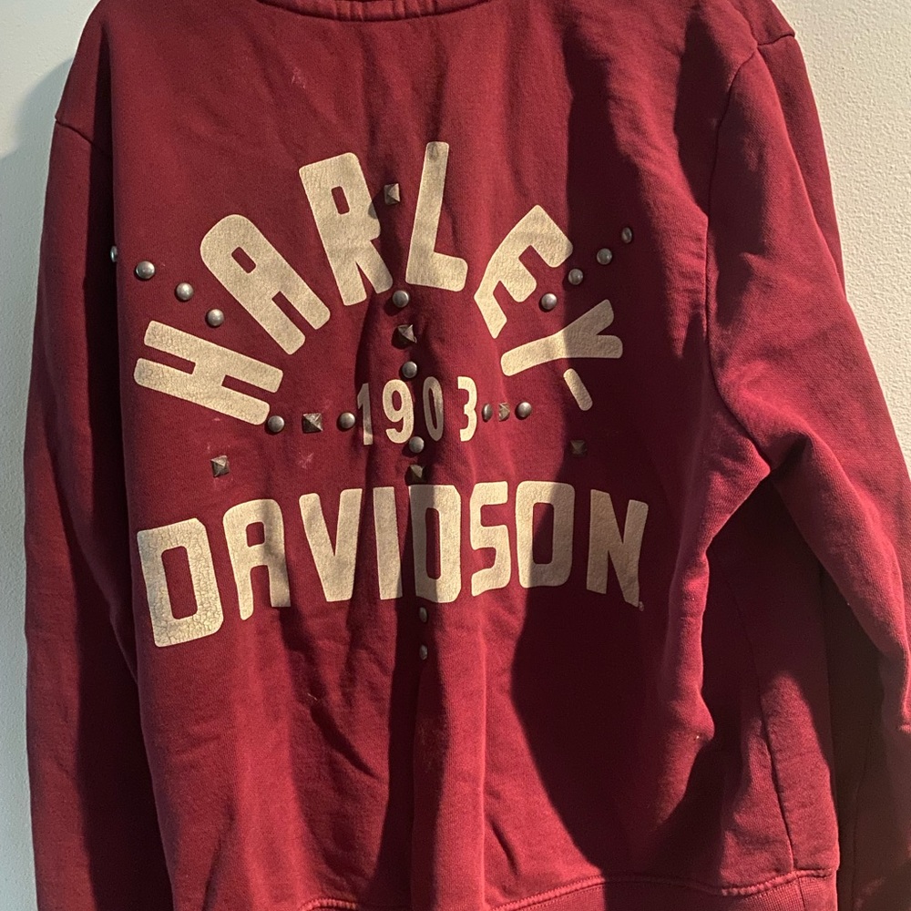 Hoodie - Picture 2 of 3